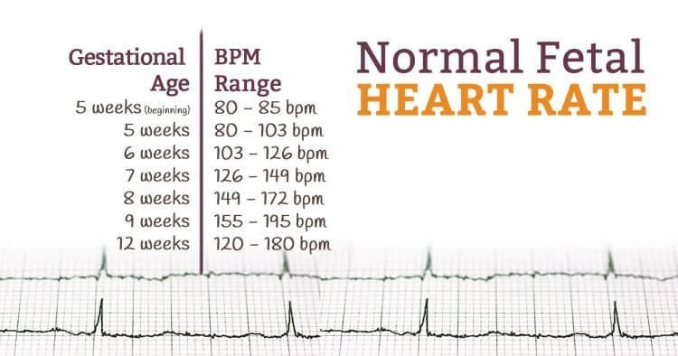 Baby Heartbeat Doppler
