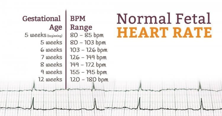 Fetal Heart Doppler